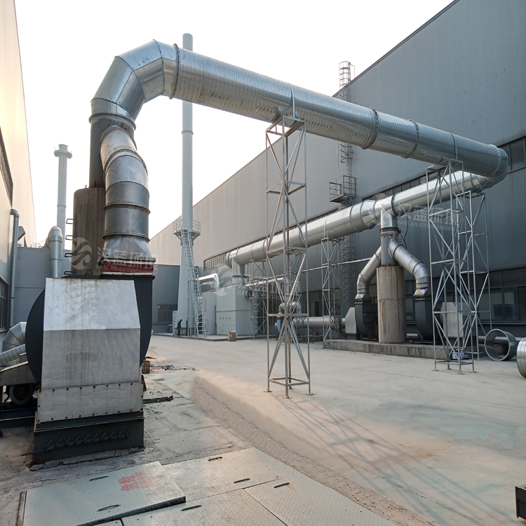 河北漢藍(lán)噴漆廢氣處理設(shè)備-VOCs治理-沸石轉(zhuǎn)輪+CO爐 河北漢藍(lán)噴漆廢氣處理設(shè)備-VOCs治理-沸石轉(zhuǎn)輪+CO爐