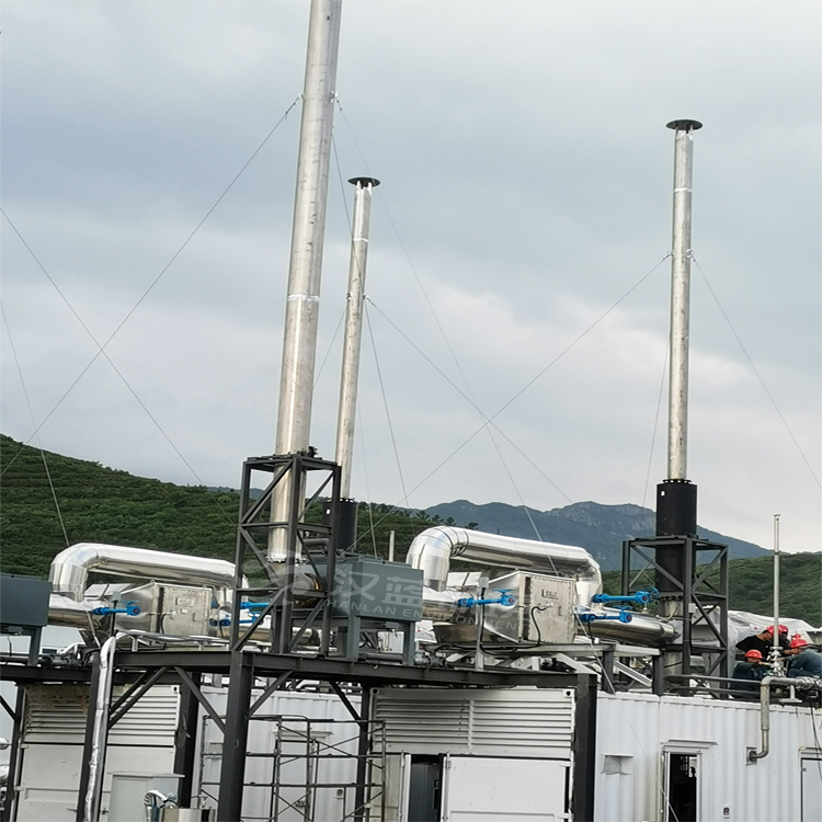 萬純生物質沼氣發(fā)電機組脫硝系統(tǒng) 萬純生物質沼氣發(fā)電機組脫硝系統(tǒng)