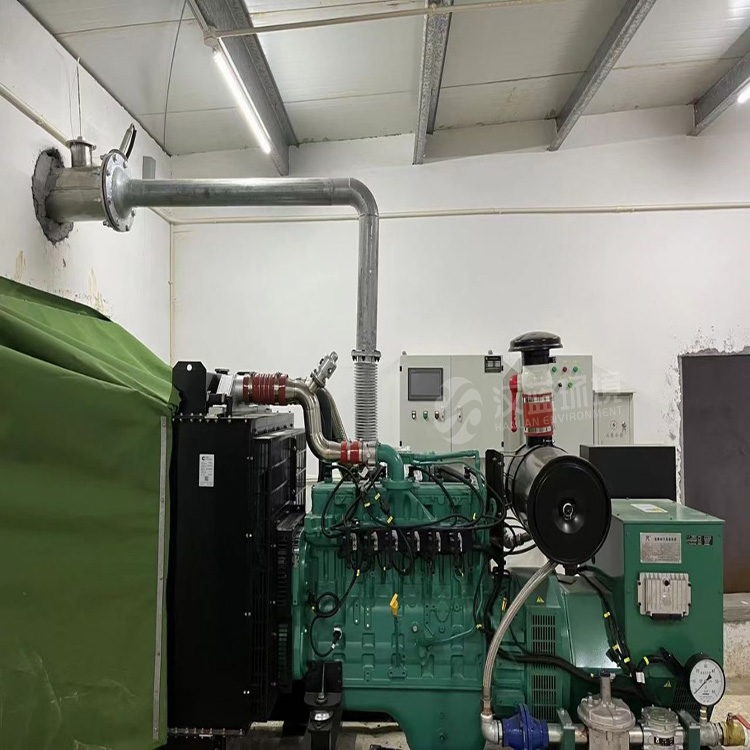 萬純SCR脫硝系統-糞肥沼氣發電機組脫硝