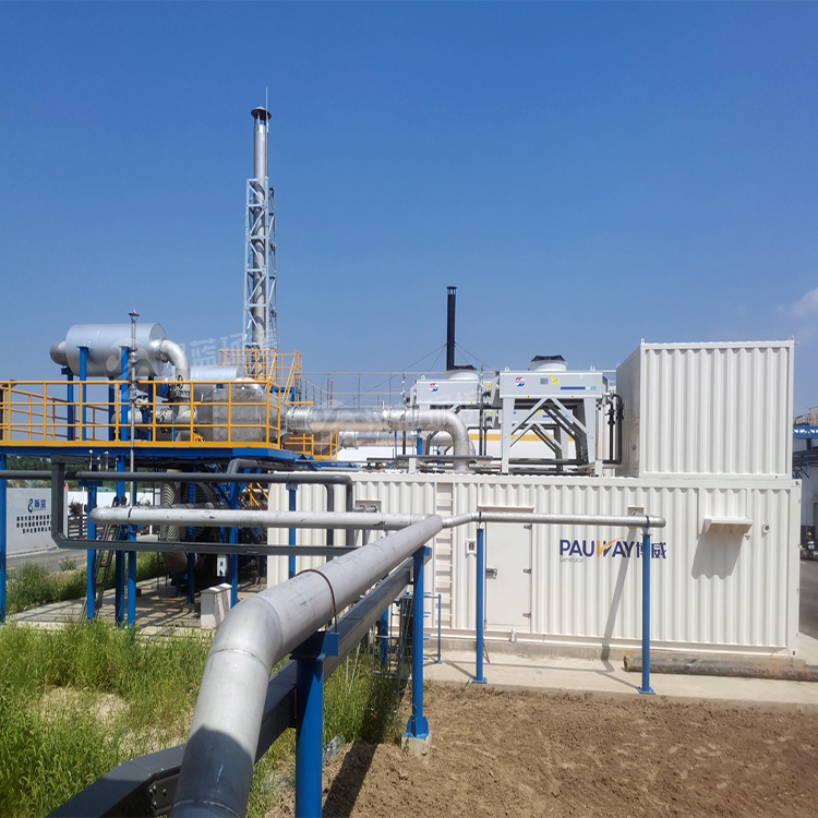 萬純SCR脫硝項目-餐廚垃圾沼氣發電機組脫硝