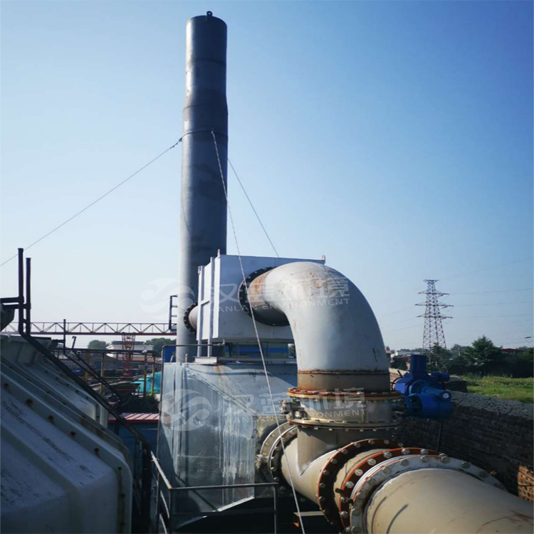 河北漢藍某煤層氣發電脫硝項目