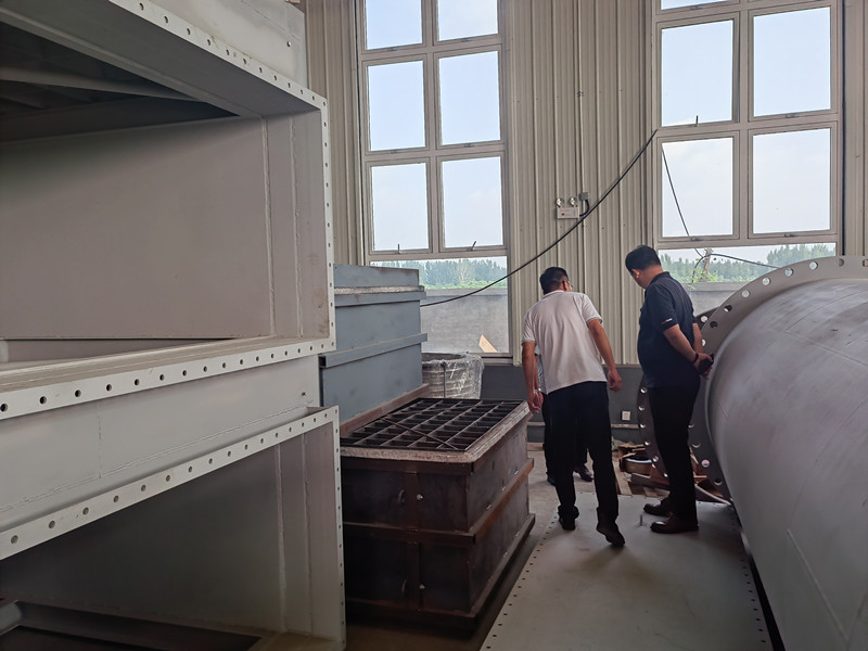 熱烈歡迎某集團公司客戶來河北漢藍(lán)驗收脫硝系統(tǒng)