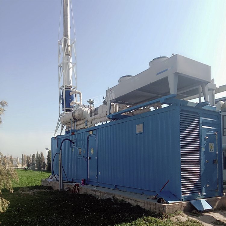 萬純SCR脫硝系統(tǒng)-沼氣發(fā)電機組脫硝