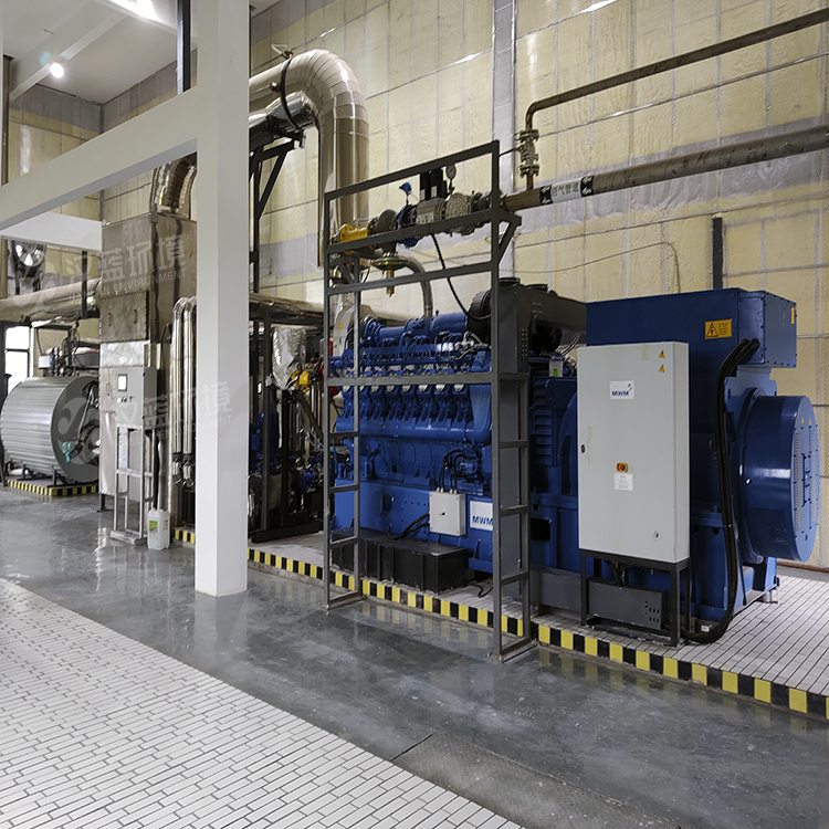 萬純SCR脫硝設備-餐廚垃圾沼氣發電機組脫硝