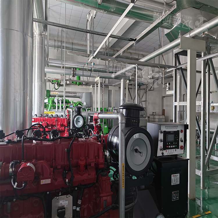 萬純SCR脫硝系統(tǒng)-沼氣發(fā)電機(jī)組脫硝